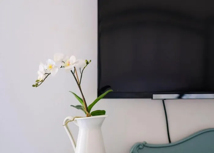 Hanna Mit Blick Auf Wasser By Interhome * Murter